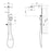 Orli Twin Shower Matte Black - $300