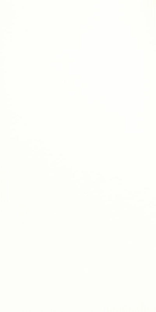 ULTRA80 WHITE MATT 300X600 80% GLAZE PORC DSSA6001S QUA0005