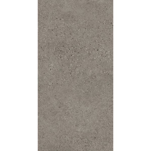 T-STONE ASH GREY MATT 300X600 TS3605