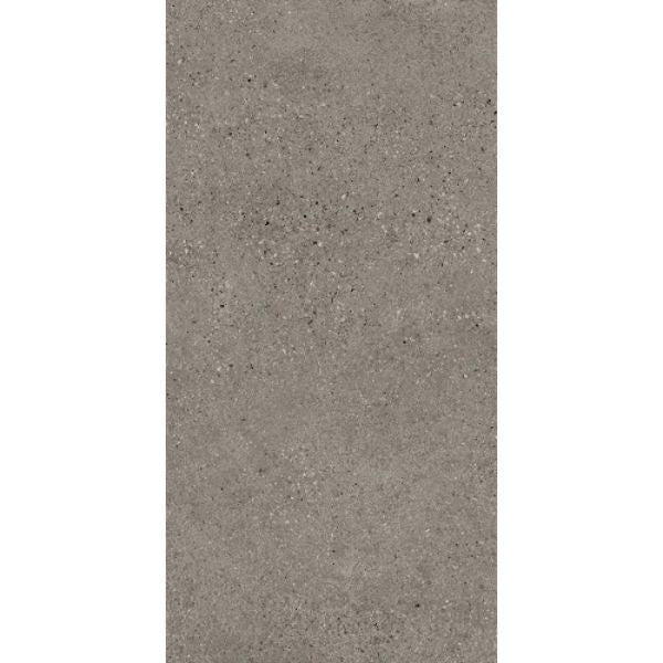 T-STONE ASH GREY MATT 300X600 TS3605