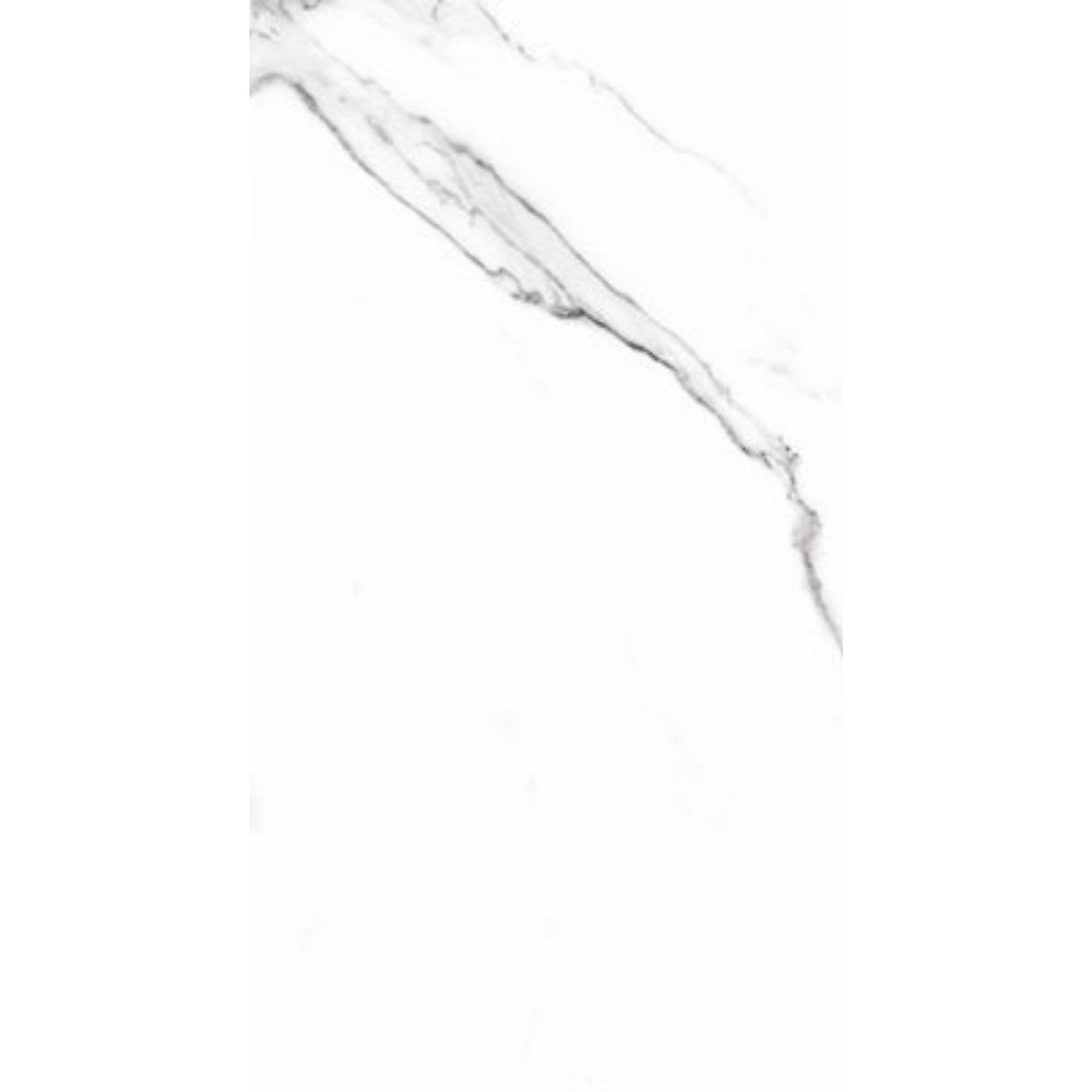 STATUARIO BIANCO MATT 600X1200MM EMC126H320