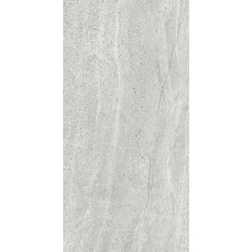 ASPEN SILVER MATT RECTIFIED 600X1200MM AS02