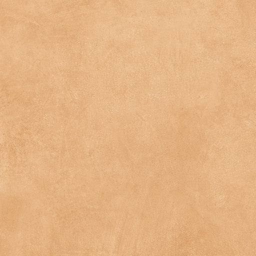ART SERIES SAND MATT 600X600MM SN6017ND