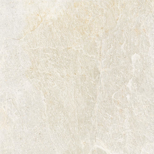 GENESIS DOVE LIGHT GREY R10 MATT 600X600X9MM R60GEDO