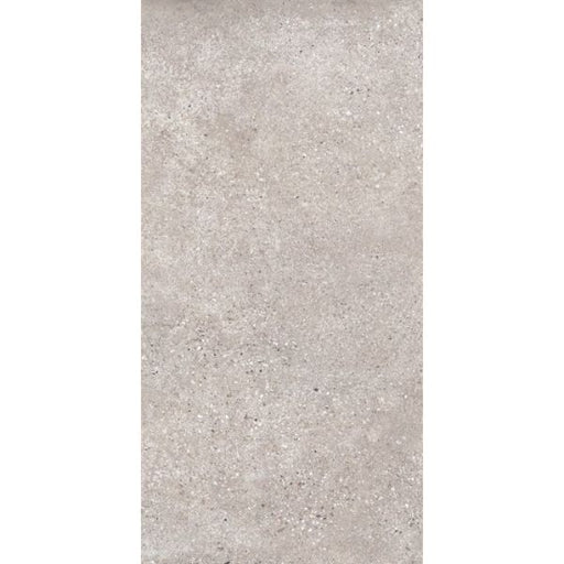 T-STONE LIGHT GREY MATT 300X600 TS3602