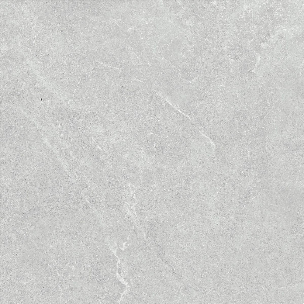 VENUS LIGHT GREY MATT 600X600MM 60LH01R