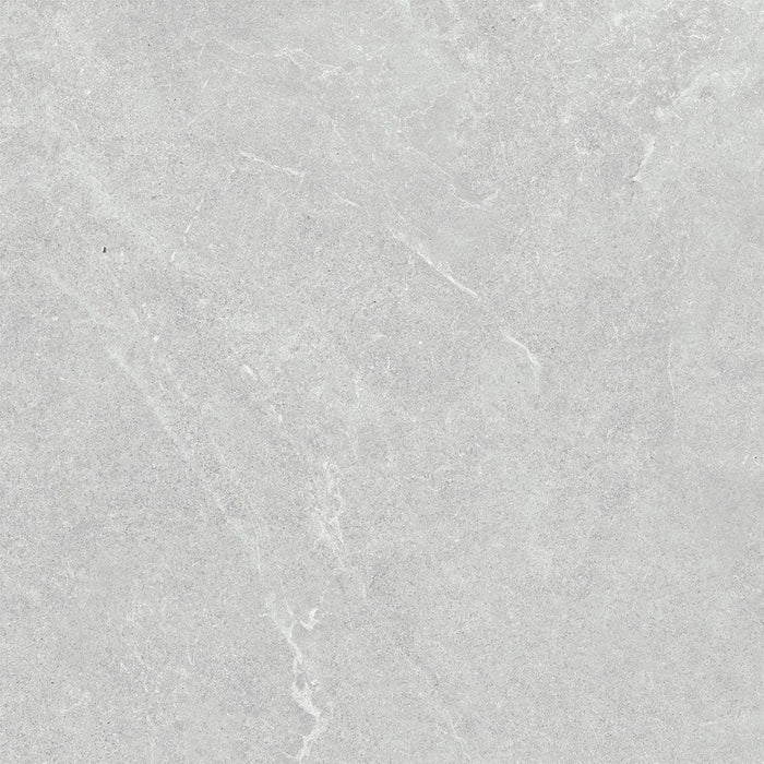 VENUS LIGHT GREY MATT 600X600MM 60LH01R