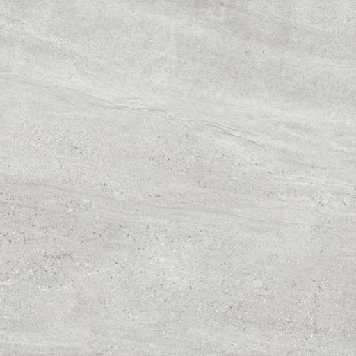 ASPEN SILVER MATT RECTIFIED 600X600MM AS02