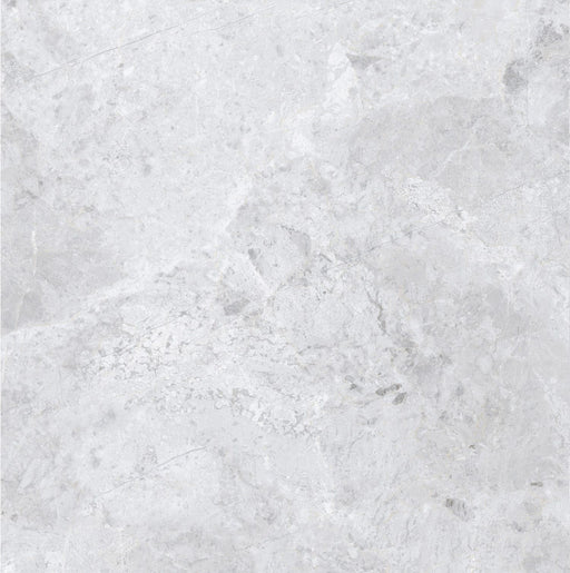 ARCTIC TUNDRA GREY POLISH 600X600MM 6S75806