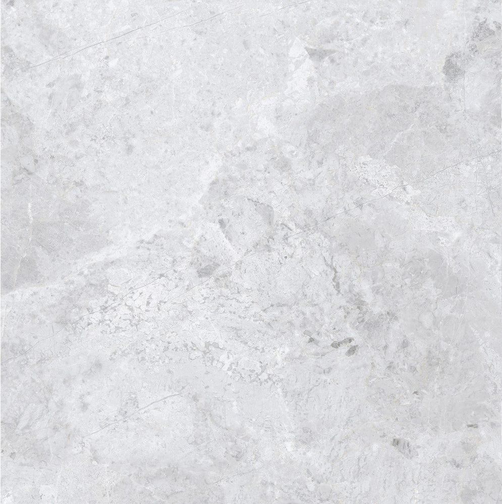 ARCTIC TUNDRA GREY POLISH 600X600MM 6S75806