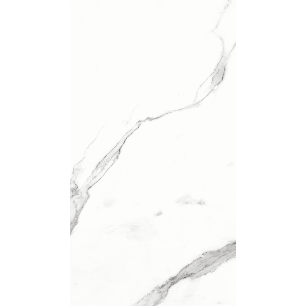 STATUARIO BIANCO MATT 300X600MM EMC63H320