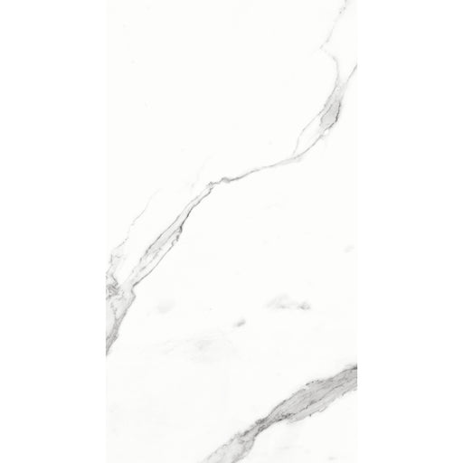 STATUARIO BIANCO MATT 300X600MM EMC63H320