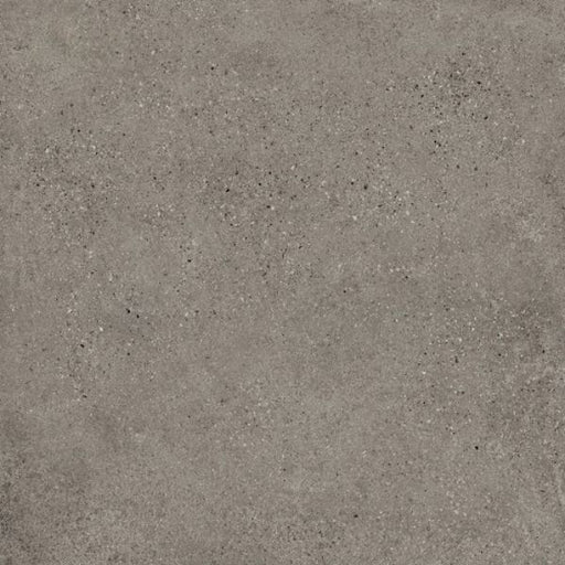 T-STONE ASH GREY MATT 600X600 TS6005