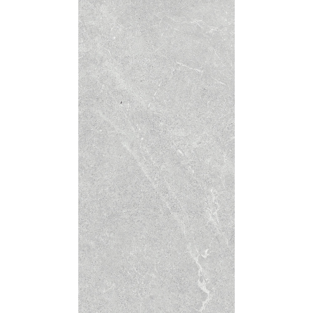 VENUS LIGHT GREY MATT 300X600MM 36LH01R