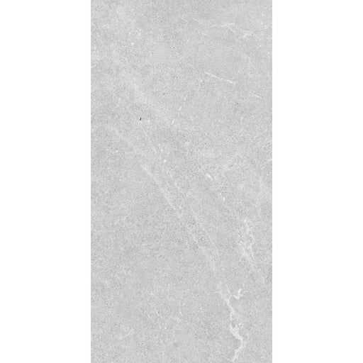 VENUS LIGHT GREY MATT 300X600MM 36LH01R