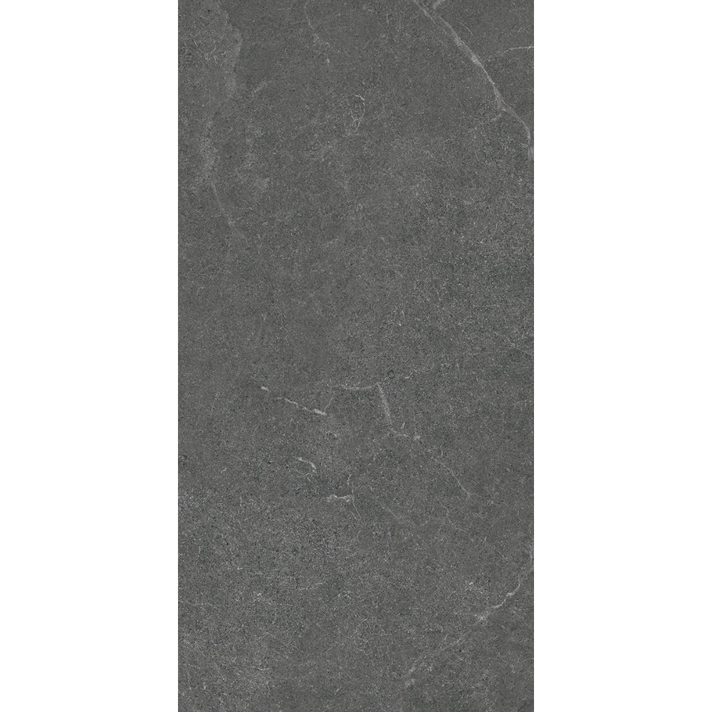 VENUS DARK GREY MATT 300X600MM 36LH09R