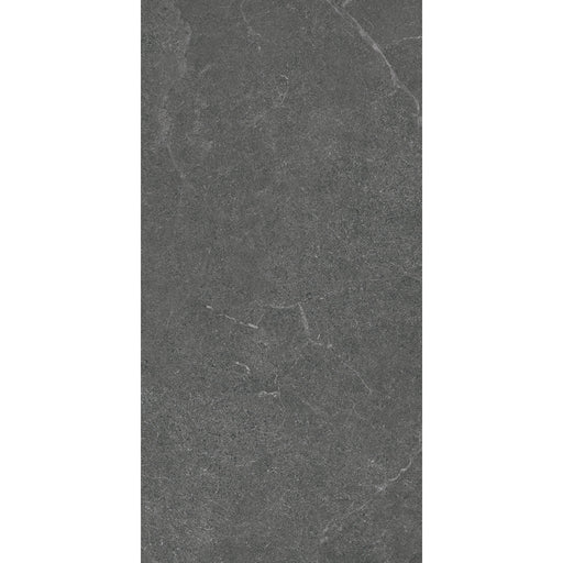 VENUS DARK GREY MATT 300X600MM 36LH09R