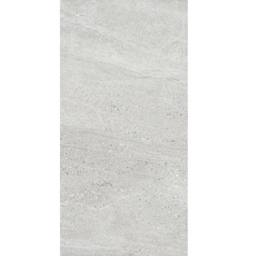 ASPEN SILVER MATT RECTIFIED 300X600MM AS02