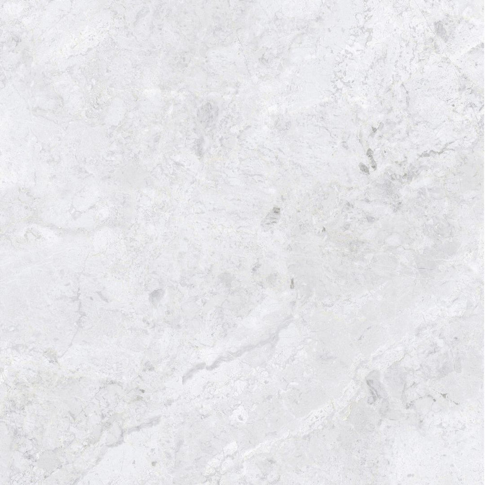 ARCTIC TUNDRA WHITE POLISH 600X600MM 6S75806-L