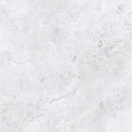 ARCTIC TUNDRA WHITE POLISH 600X600MM 6S75806-L