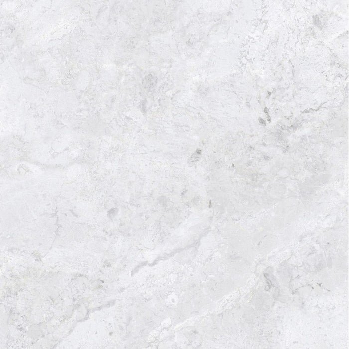 ARCTIC TUNDRA WHITE POLISH 600X600MM 6S75806-L