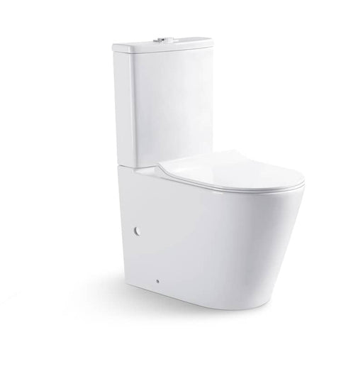 Exon Cyclonic Flush Back To Wall Toilet Suite