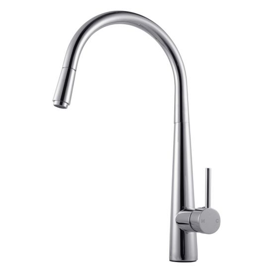 Pentro Pullout Sink Mixer